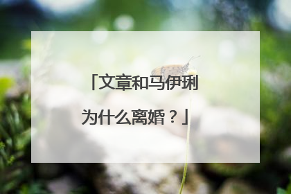 文章和马伊琍为什么离婚？