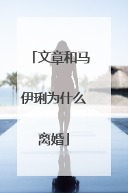 文章和马伊琍为什么离婚