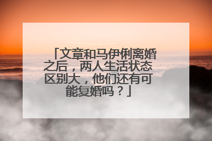 文章和马伊俐离婚之后，两人生活状态区别大，他们还有可能复婚吗？