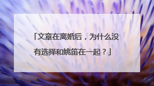 文章在离婚后，为什么没有选择和姚笛在一起？