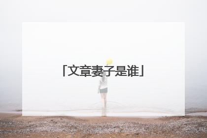 文章妻子是谁