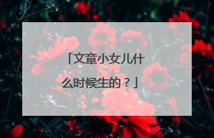 文章小女儿什么时候生的?