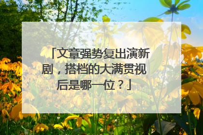 文章强势复出演新剧,搭档的大满贯视后是哪一位?