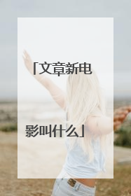 文章新电影叫什么