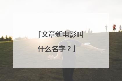 文章新电影叫什么名字？
