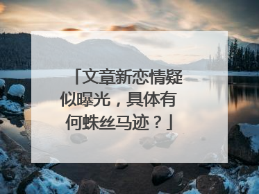 文章新恋情疑似曝光，具体有何蛛丝马迹？