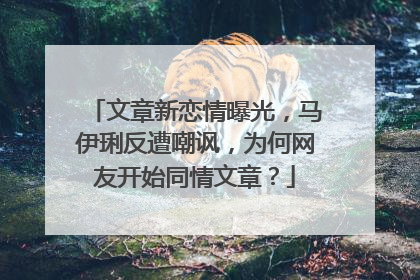文章新恋情曝光，马伊琍反遭嘲讽，为何网友开始同情文章？