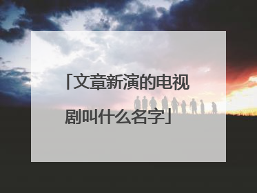 文章新演的电视剧叫什么名字