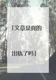 文章是真的出轨了吗