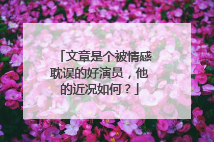 文章是个被情感耽误的好演员,他的近况如何?