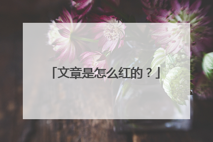 文章是怎么红的?