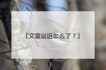 文章最近怎么了？