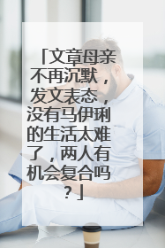 文章母亲不再沉默,发文表态,没有马伊琍的生活太难了,两人有机会复合吗?