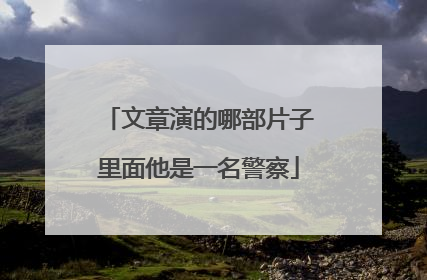 文章演的哪部片子里面他是一名警察