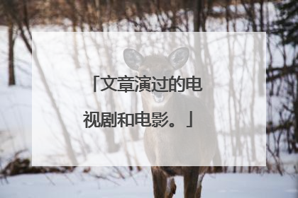 文章演过的电视剧和电影。