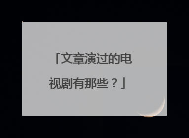 文章演过的电视剧有那些？