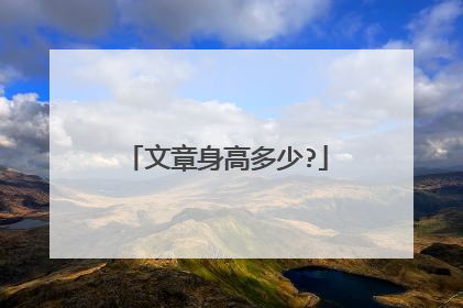 文章身高多少?