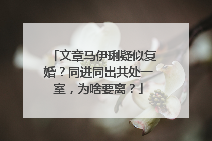 文章马伊琍疑似复婚？同进同出共处一室，为啥要离？