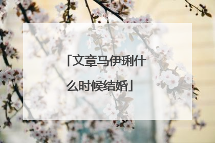 文章马伊琍什么时候结婚
