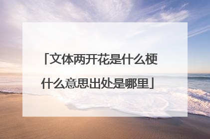 文体两开花是什么梗 什么意思出处是哪里