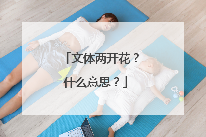 文体两开花?什么意思?