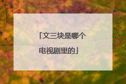 文三块是哪个电视剧里的