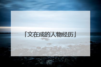 文在成的人物经历