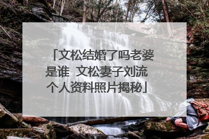 文松结婚了吗老婆是谁 文松妻子刘流个人资料照片揭秘