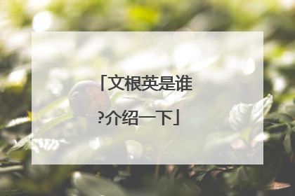 文根英是谁?介绍一下