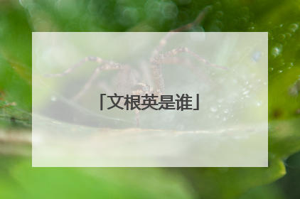 文根英是谁