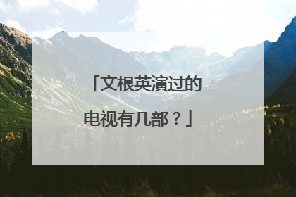 文根英演过的电视有几部？