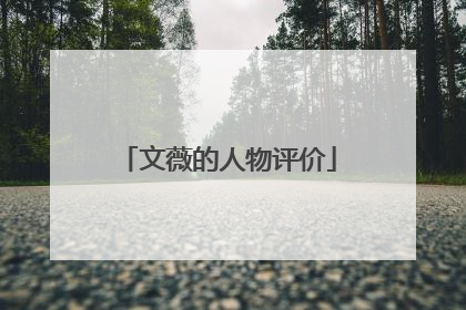 文薇的人物评价