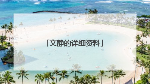 文静的详细资料