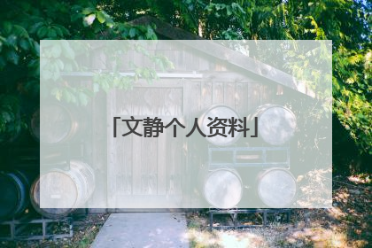 文静个人资料