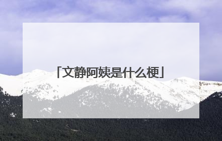 文静阿姨是什么梗