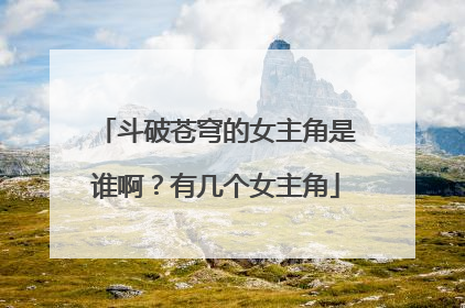 斗破苍穹的女主角是谁啊？有几个女主角