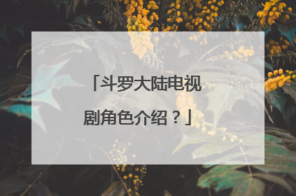 斗罗大陆电视剧角色介绍？