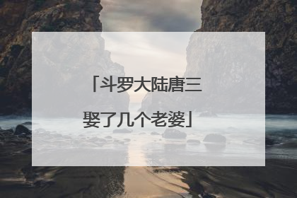 斗罗大陆唐三娶了几个老婆