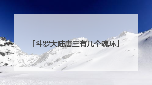 斗罗大陆唐三有几个魂环