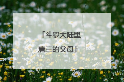 斗罗大陆里唐三的父母