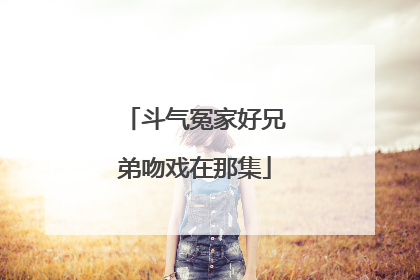 斗气冤家好兄弟吻戏在那集