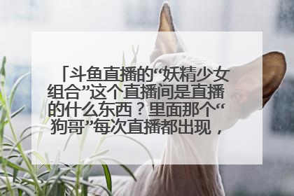 斗鱼直播的“妖精少女组合”这个直播间是直播的什么东西？里面那个“狗哥”每次直播都出现，而且为什么里