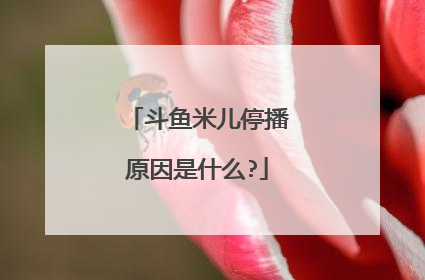 斗鱼米儿停播原因是什么?