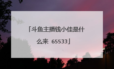斗鱼主播钱小佳是什么来 65533