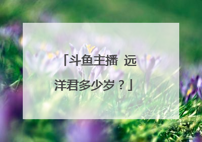 斗鱼主播 远洋君多少岁?