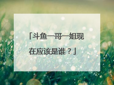 斗鱼一哥一姐现在应该是谁？