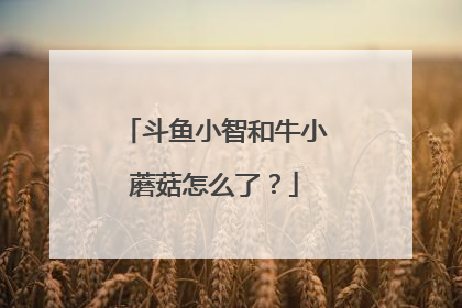 斗鱼小智和牛小蘑菇怎么了？