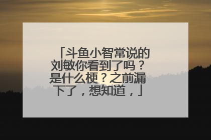斗鱼小智常说的刘敏你看到了吗？是什么梗？之前漏下了，想知道，