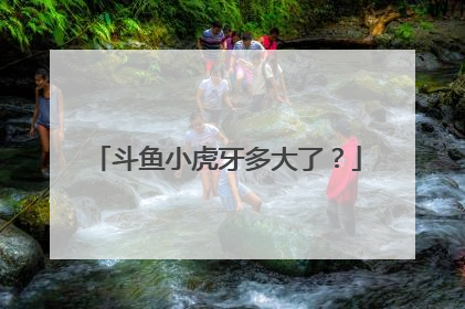 斗鱼小虎牙多大了？