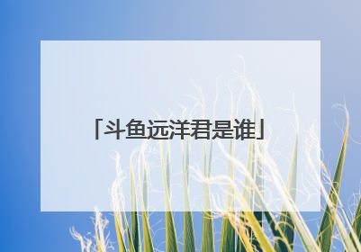 斗鱼远洋君是谁